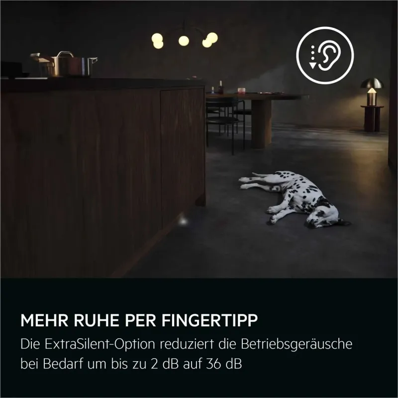 AEG 9000 XXL Max GX970BT dishwasher — view 4