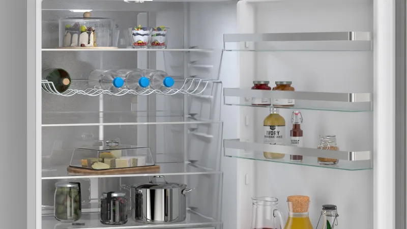 Siemens iQ300 KG49NVIBG refrigerator — view 5